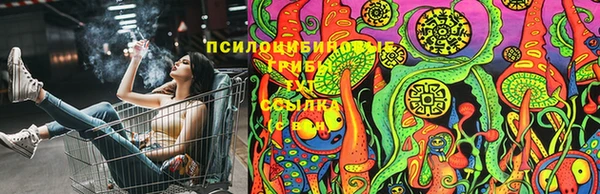 ешки Балахна
